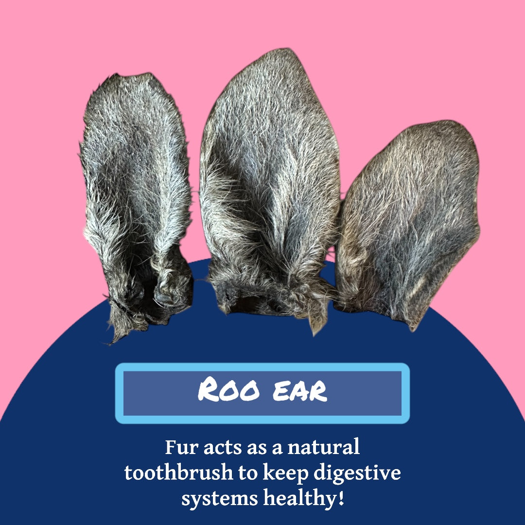 Roo Ear (With Fur)