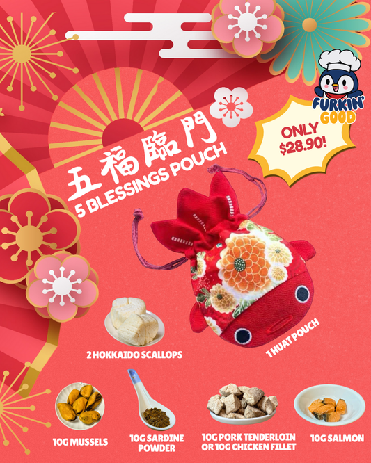 Five Blessings Pouch