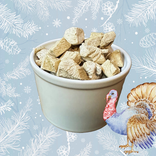 ❄️Holiday Special❄️: It's Turkey Thyme!